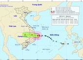 Bão số 5 đang đổ bộ ven biển Quảng Ngãi đến Phú Yên
