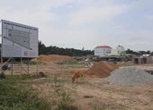 Vũng Tàu quyết thu hồi đất, xây hai trường học