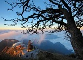 Du xuân cầu an trên đỉnh thiêng Fansipan - trải nghiệm đáng thử