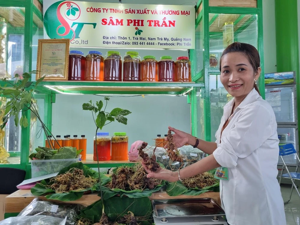 Lúc 7 giờ 30, tại Trung tâm giới thiệu triển lãm hội chợ, phiên chợ sâm Ngọc Linh, hàng chục gian hàng chuẩn bị, sẳn sàng cho ngày hội về cây sâm Ngọc Linh lớn nhất trong năm. Ảnh: THANH NHẬT