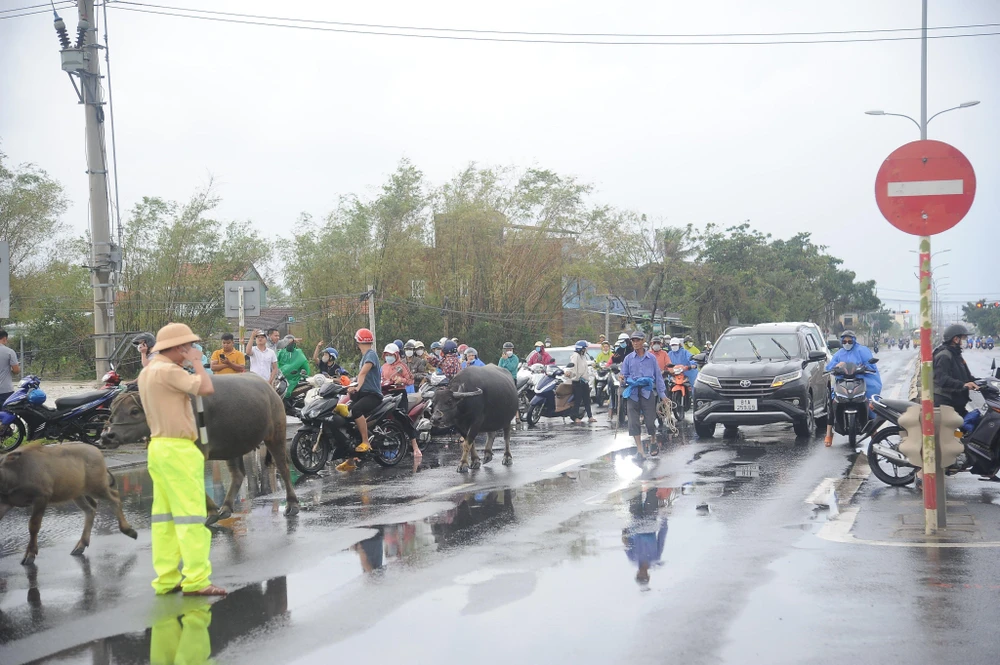 Các phương tiện phải dừng trước điểm bị ngập.