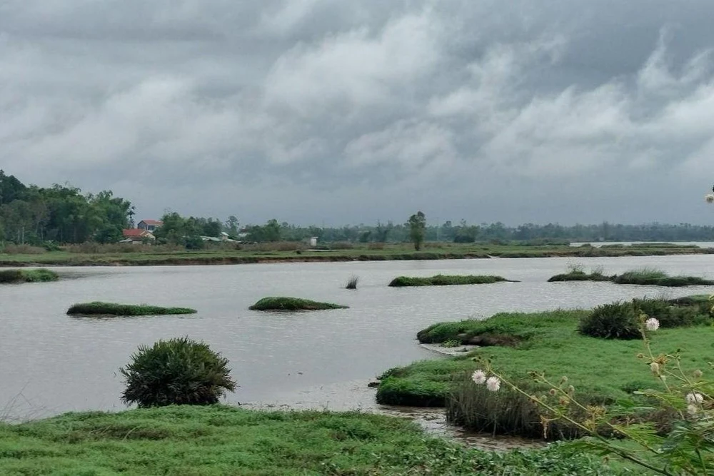 Sông Bàn Thạch (đoạn chảy qua phường Tân Thạnh). Ảnh: TN