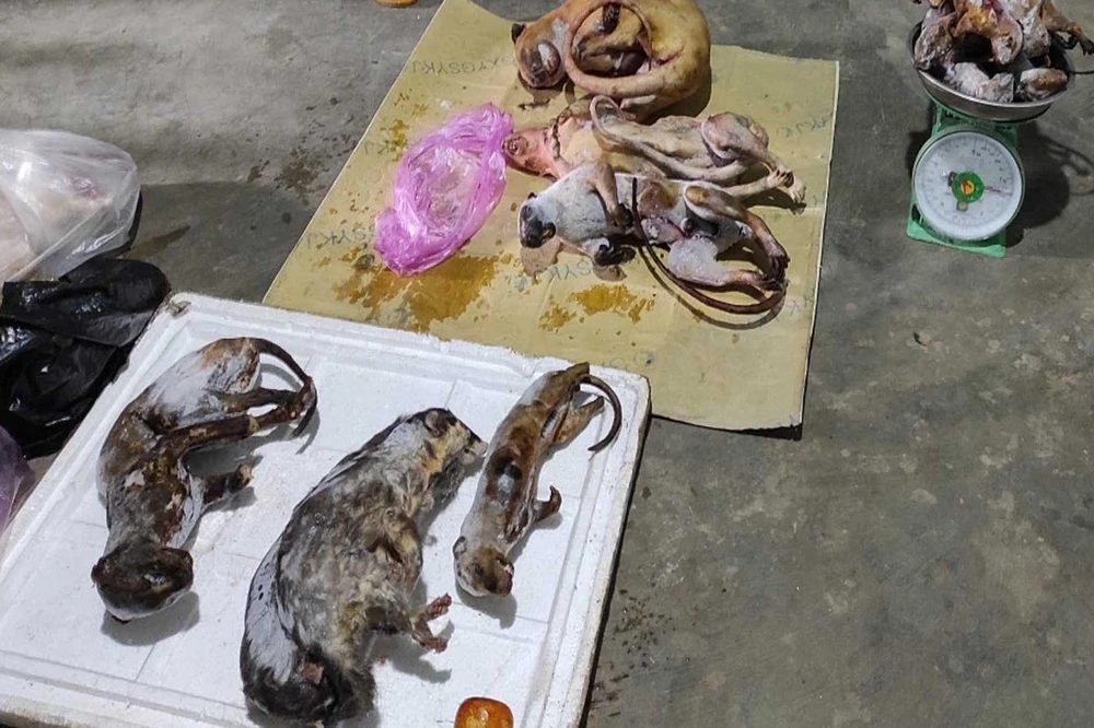 Số động vật hoang dã đều cấp đông, nguỵ trang cẩn thận. Ảnh: CA