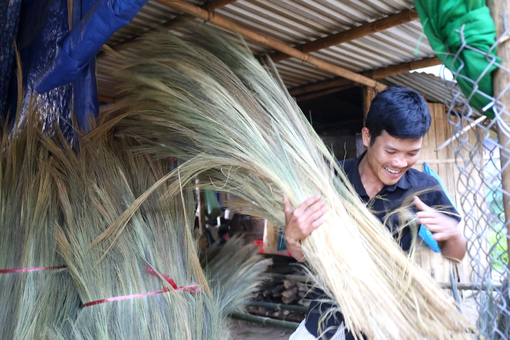“Tôi cùng nhiều người dân ở đây tranh thủ sau Tết lên rừng chặt đót, buộc lại thành bó vác về nhà phơi. Do thương lái chỉ mua đót vừa phải, không mua đót già nên cứ sau Tết, người dân ráo riết đi hái”, anh Cảnh chia sẻ.