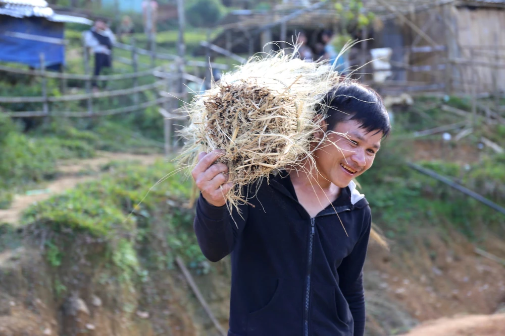 Để hái được đót đạt tiêu chuẩn, người dân đi vào các khu rừng sâu, nơi có cây đót cao, bông trổ rậm rạp. Người dân phải băng rừng từ 2-3 giờ đồng hồ mới đến nơi.