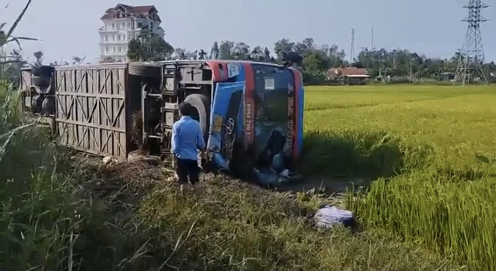 Xe khách lao xuống ruộng. Ảnh: CTV Xe khách lao xuống ruộng. Ảnh: CTV
