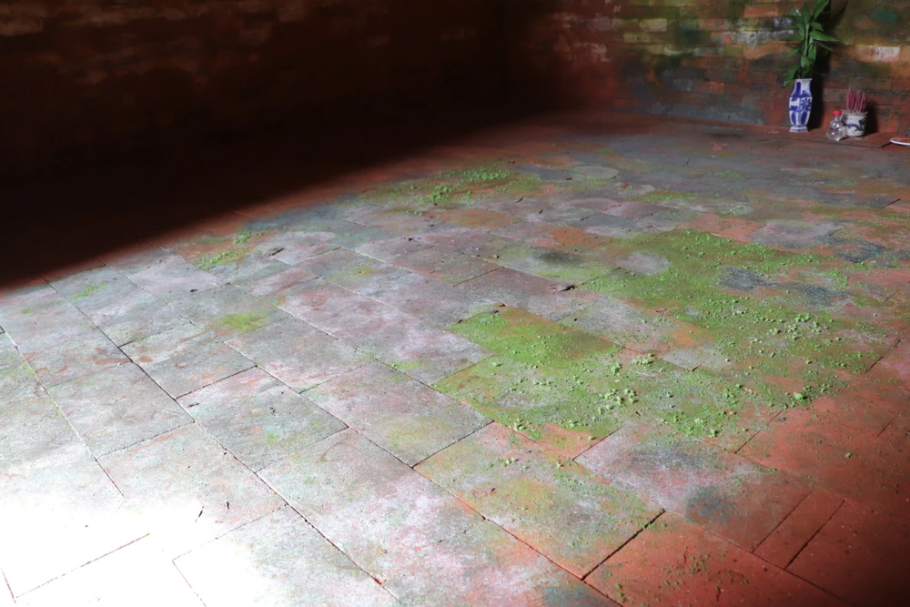 Bề mặt sàn cũng xuất hiện rêu và hiện tượng vệt trắng. Ảnh: TN