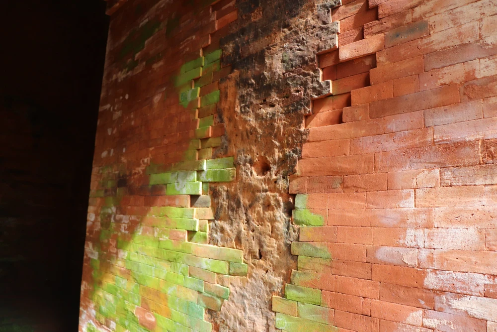 Vệt trắng, rêu xanh bám trên mảng tường tháp. Ảnh: TN