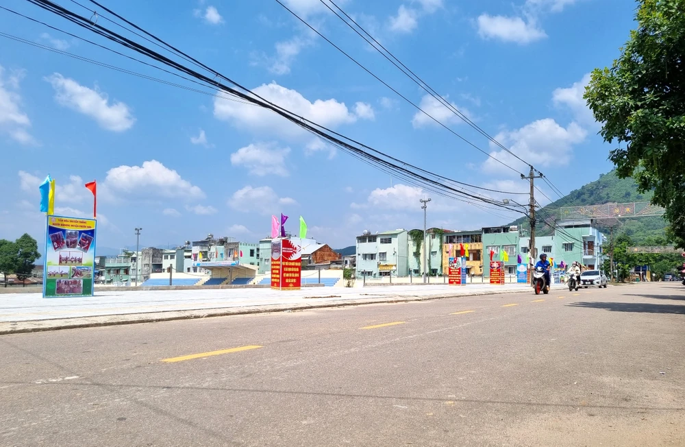 Huyện Phước Sơn sẽ trồng thay thế bằng cây mai Hồng Diệp để tạo điểm nhấn. Ảnh: TN