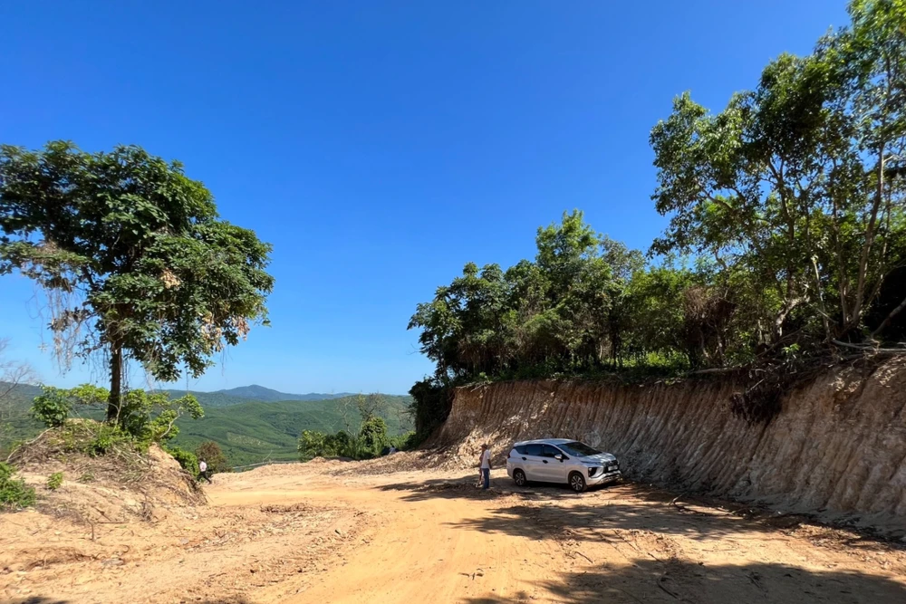 Hiện trạng vụ phá rừng mở đường xảy ra tại thị xã Đức Phổ. Ảnh: TN