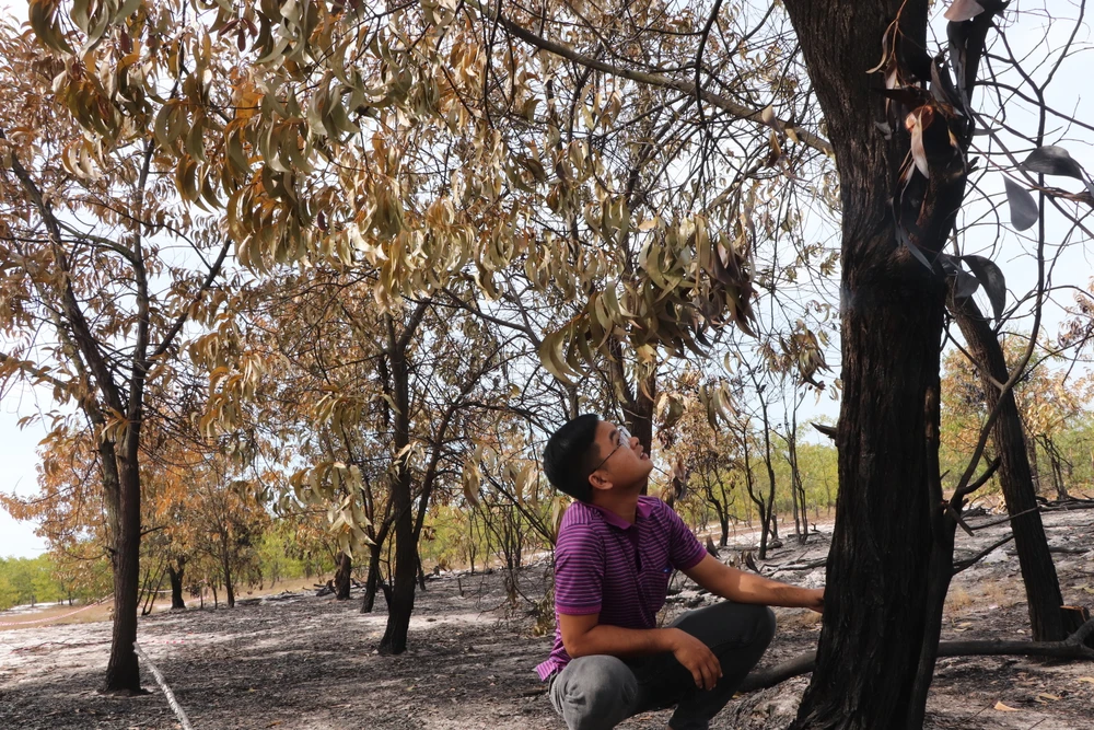 Thân cây trong khu vực diễn tập cháy đen. Ảnh: THANH NHẬT