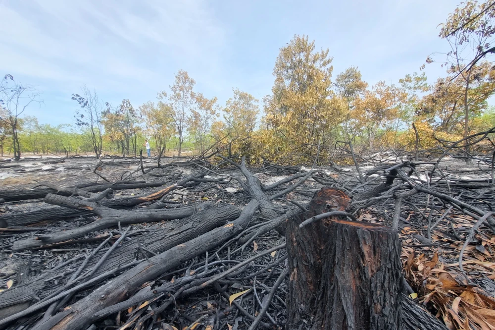 Hiện trường PV ghi nhận một ngày sau buổi diễn tập. Ảnh: THANH NHẬT