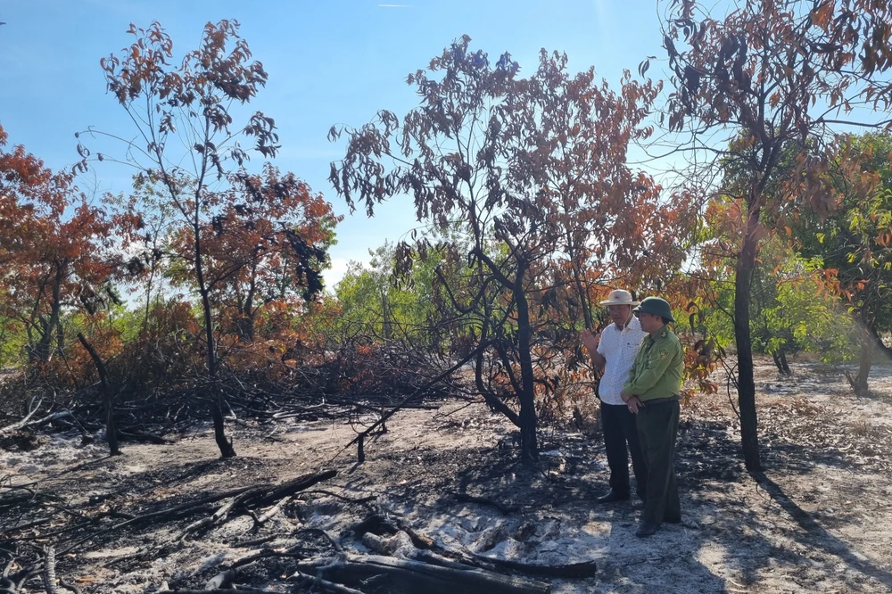 Giám đốc Sở NN&amp;PTNT Phạm Viết Tích thừa nhận có sai sót trong quá trình diễn tập chữa cháy rừng. Ảnh: THANH NHẬT