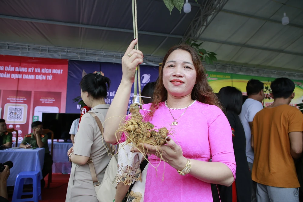 Củ sâm Ngọc Linh nặng 350gr được rao bán với giá 105 triệu đồng. Ảnh: TN