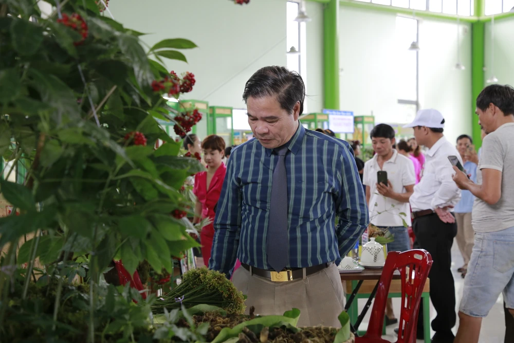 Khoảng 60 gian hàng của người dân các địa phương, doanh nghiệp tham gia phiên chợ sâm Ngọc Linh. Ảnh: TN