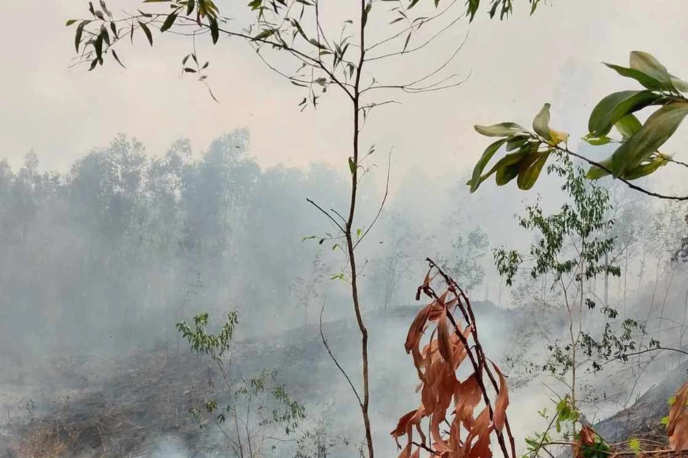 Đốt thực bì làm cháy lan khiến người đàn ông bị bỏng nặng tử vong. Ảnh: TN