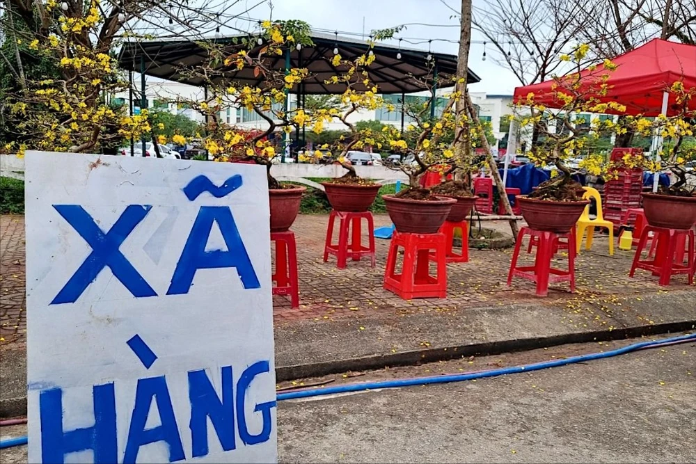 người bán hoa lo mất Tết