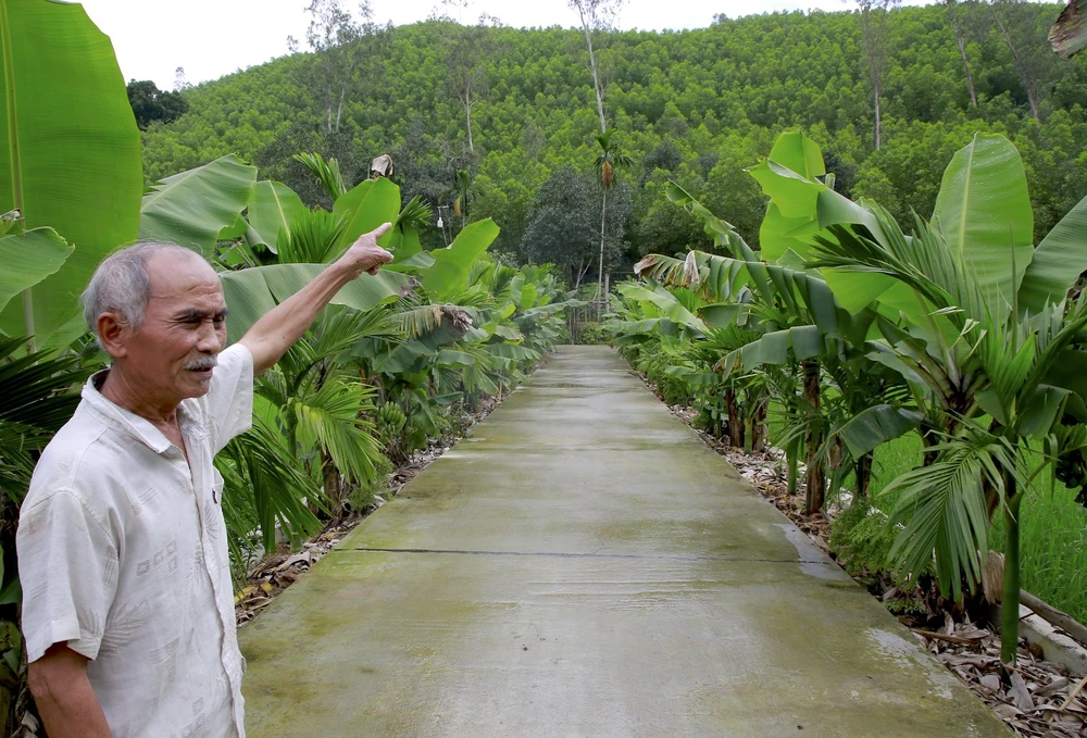 Văn phòng UBND tỉnh báo cáo Bí thư Tỉnh uỷ Quảng Nam vụ 89 xã rớt chuẩn nông thôn mới. Ảnh: TN