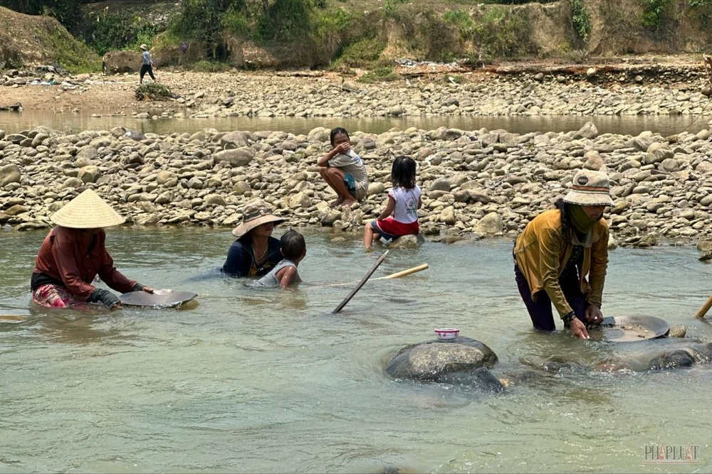 Người dân miền núi Quảng Nam xuống sông tìm vàng