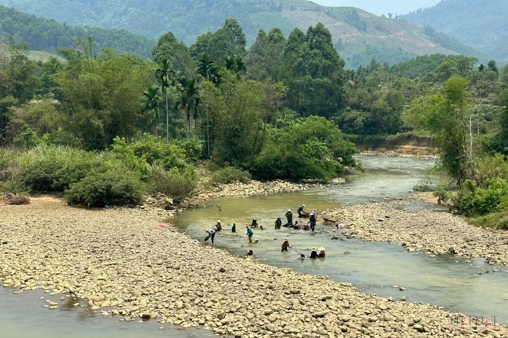 Người dân miền núi Quảng Nam xuống sông tìm vàng