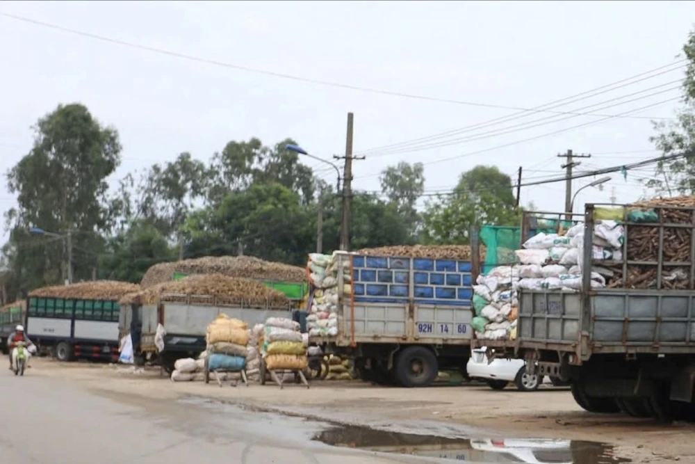 Khu vực trước Công CP Tinh bột sắn Quảng Nam, nơi xảy ra vụ tai nạn khiến 2 công nhân tử vong. Ảnh: TN