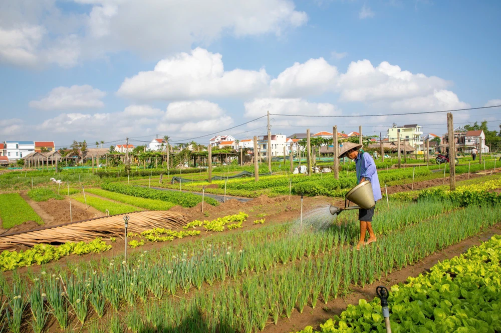 Đây là ngôi làng thứ 3 của Việt Nam được công nhận là Làng du lịch tốt nhất thế giới. Ảnh: TH