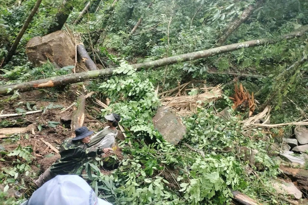 Sau động đất, hàng chục tảng đá từ trên núi lăn xuống. Ảnh: CTV