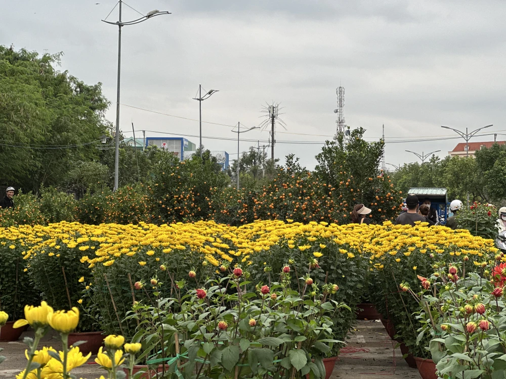 hoa-tet-vang-nguoi-mua-tieu-thuong-nong-ruot-xa-hang-27.JPG