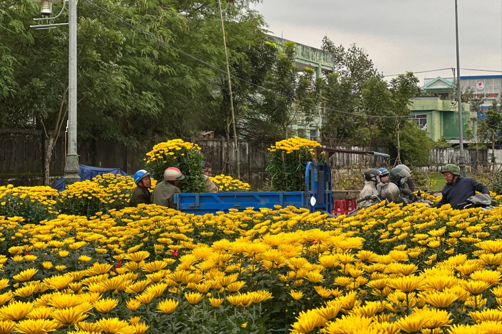 Hoa Tết vắng người mua, tiểu thương nóng ruột xả hàng