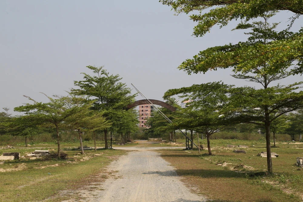 Cận cảnh khu đô thị vướng kiện tụng của Bách Đạt An thành nơi chăn thả bò