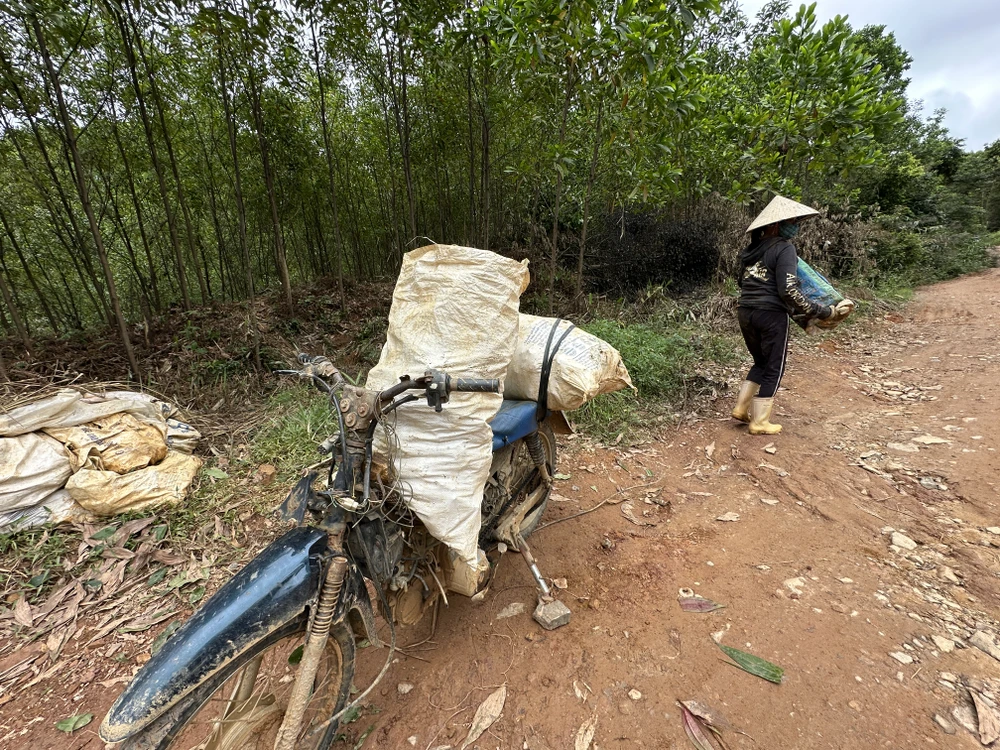 Giá vàng tăng, người dân kéo vào Bồng Miêu khai thác vàng trái phép