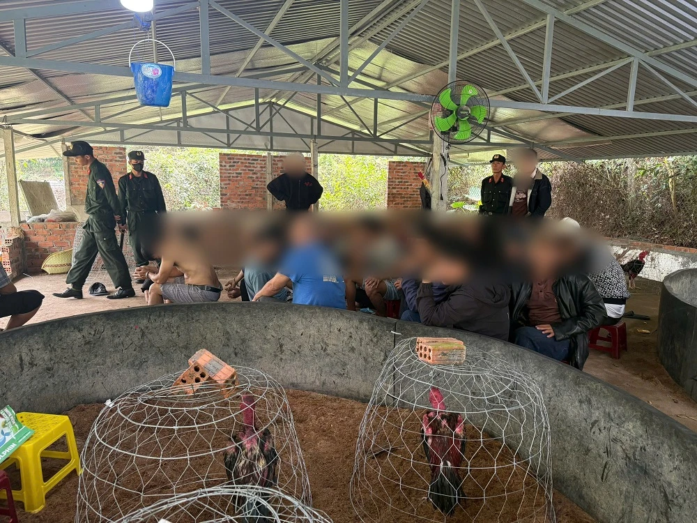 Hơn 40 người đứng quanh 2 con gà bỏ chạy khi phát hiện công an. Ảnh: CA