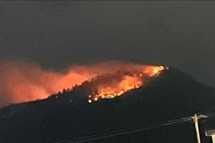 Đến tối, đám cháy bất ngờ bùng phát trở lại thiêu rụi 2ha rừng keo.