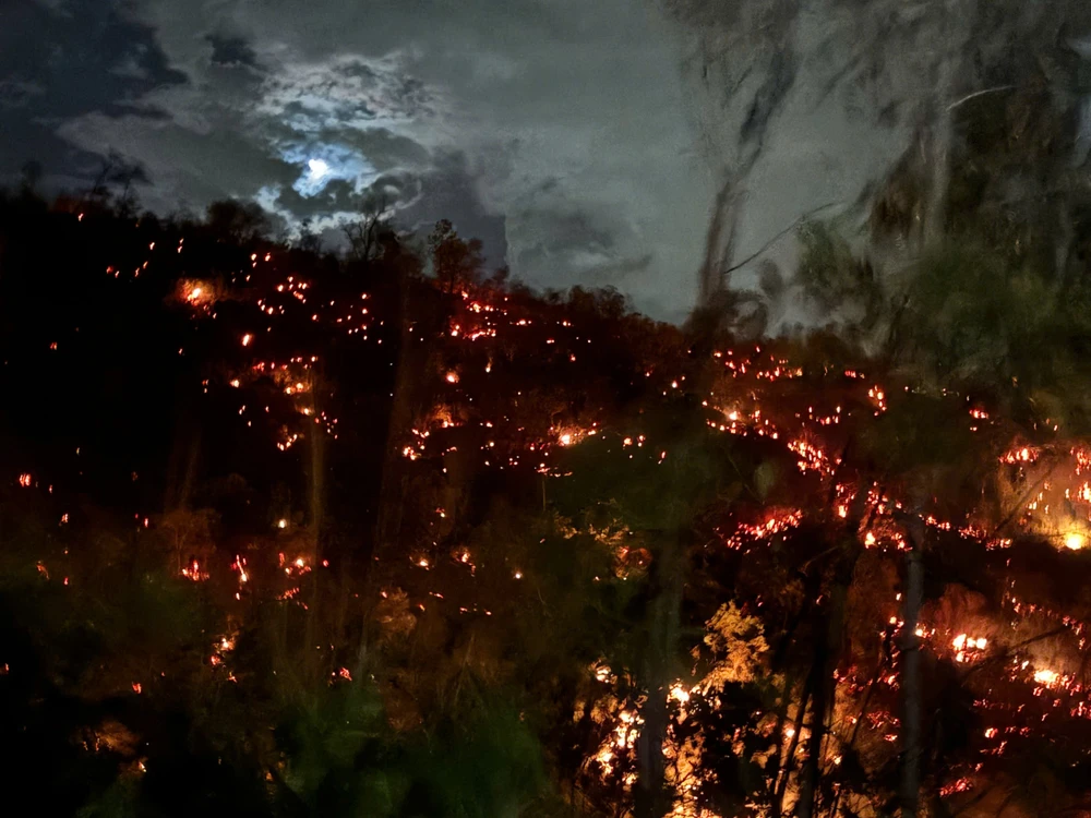 vụ cháy rừng nghiêm trọng xảy ra tại xã Duy Xuyên đã được khống chế