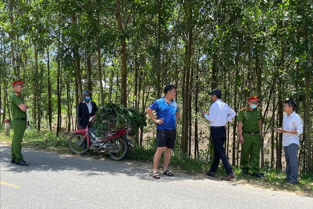 Lập biên bản người đàn ông ở Đà Nẵng chở lợn mắc bệnh dịch đi tiêu thụ