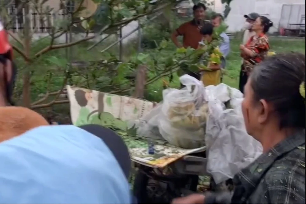 Ảnh màn hình 2025-12-03 lúc 14.51.54.png