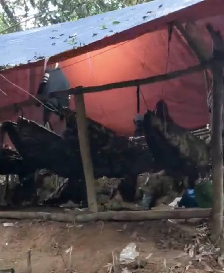 Ảnh màn hình 2026-01-11 lúc 08.01.44.png