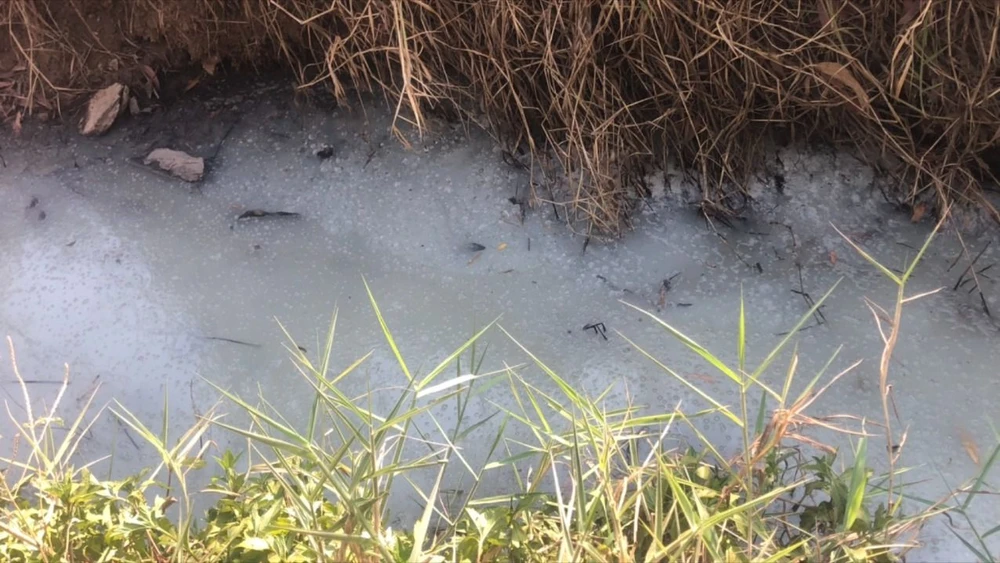 nước thải 2.jpg