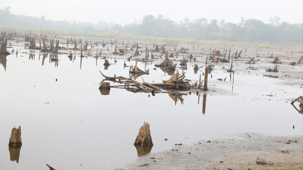 thiếu nước 1.jpg