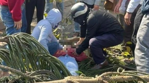 cô gái bán hoa.jpg