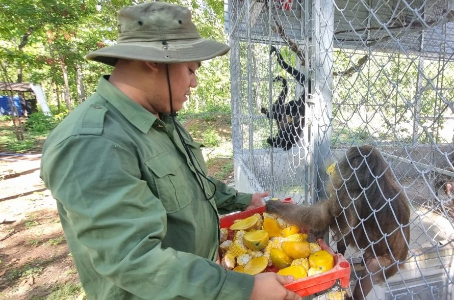 cứu hộ động vật hoang dã 2.jpg