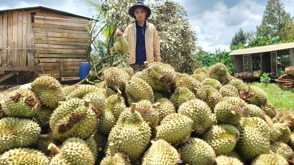cơn giông lốc 1.jpg