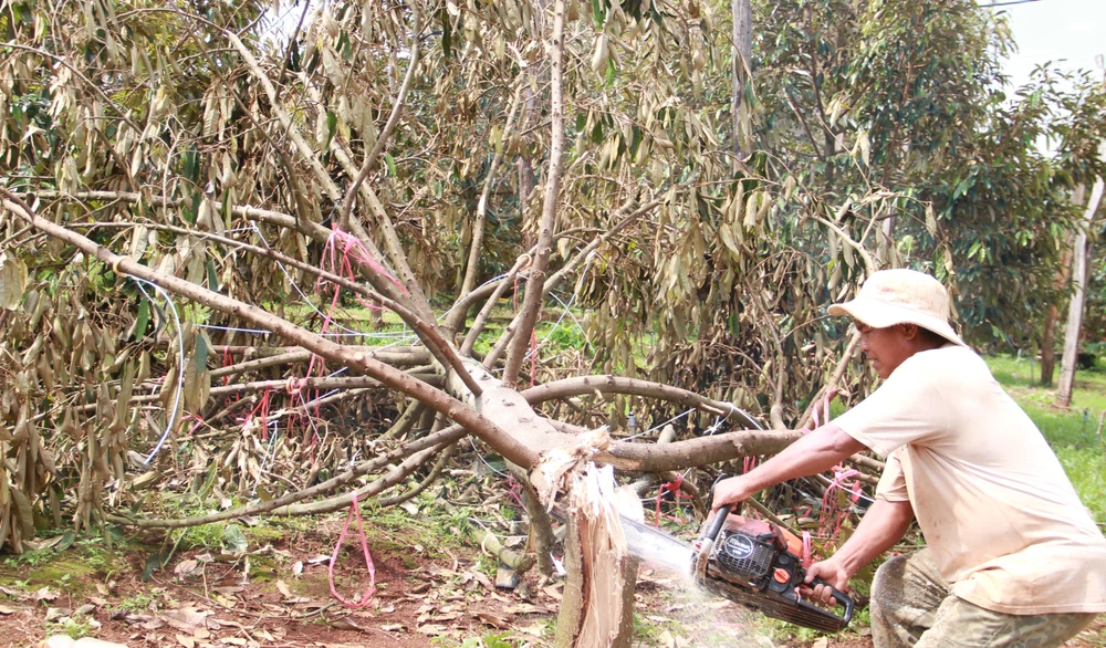 cơn giông lốc 3.JPG