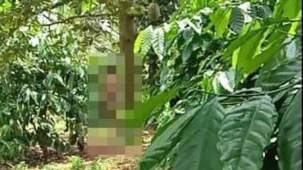 người đàn ông.jpg