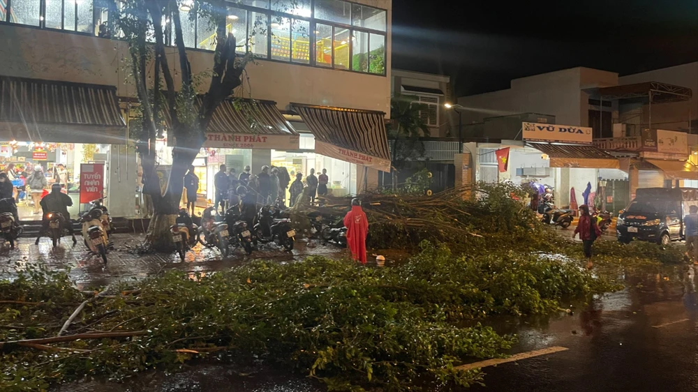 cây xanh gãy 2.jpg