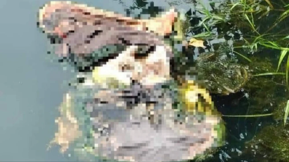 thi thể bị phân hủy.jpg