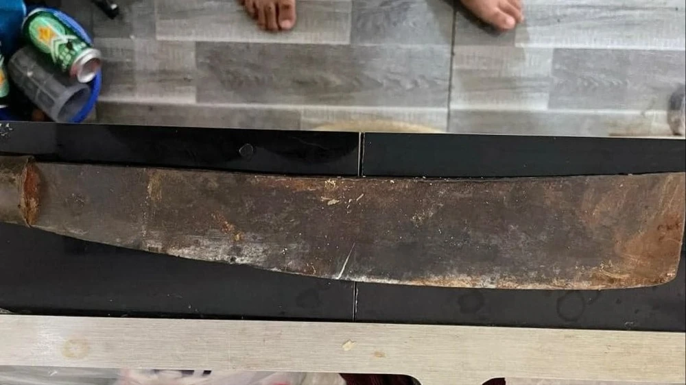 đẽo gốc sầu riêng.jpg