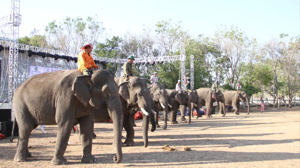 Đàng Năng Long.JPG