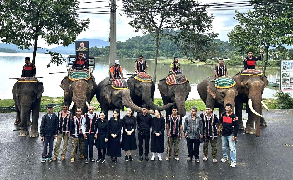 Đàng Năng Long.jpg