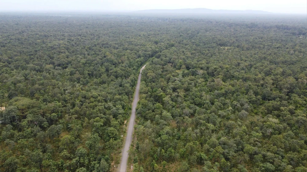 Máy bay rơi 0013.jpg